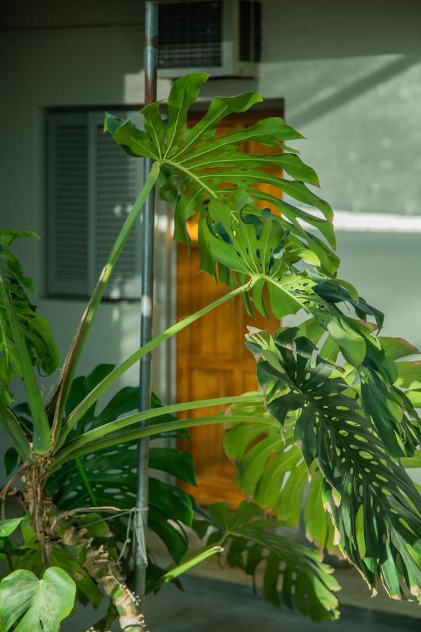 Hotel Anmara サンフアン エクステリア 写真